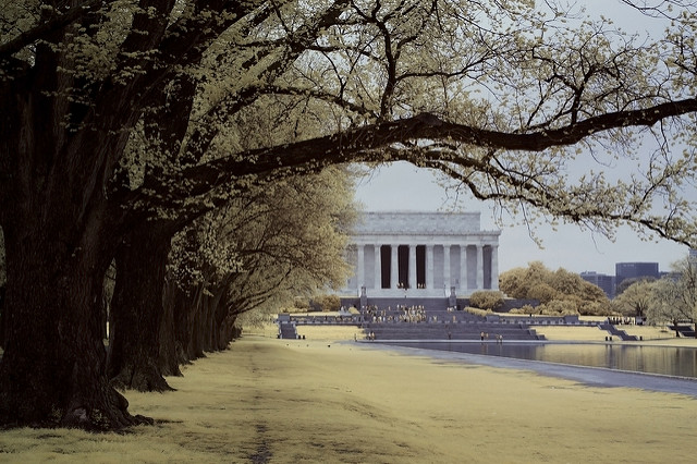 Picture of Washington, D.C., Oregon, United States
